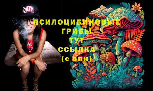 гидропоника Навашино