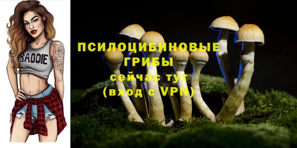 гидропоника Навашино