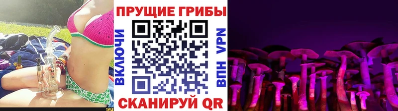 Псилоцибиновые грибы Magic Shrooms  Гаджиево 
